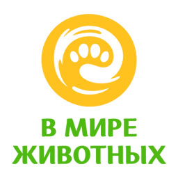 В мире животных HD